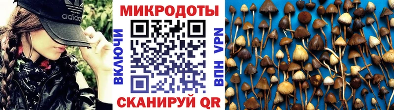 Псилоцибиновые грибы Cubensis  купить закладку  Сарапул 